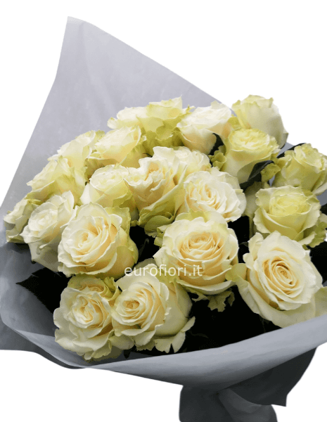 Mazzo di rose bianche (20 rose)  Mazzo di rose bianche (20 rose)